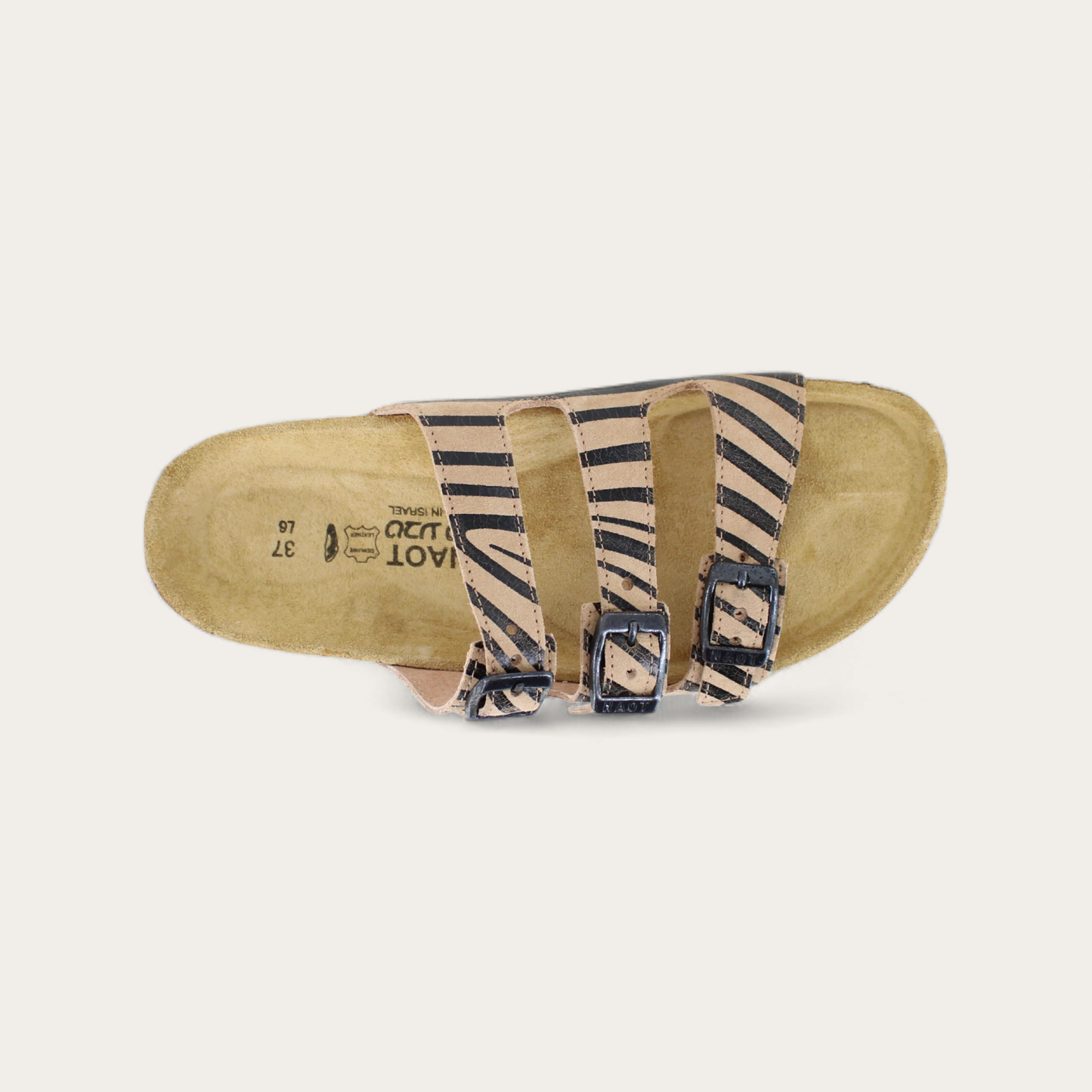 AUSTIN-08700-EC6-6-with-background_c98e88fc-9557-439b-89ea-9a55c2b5eaf2