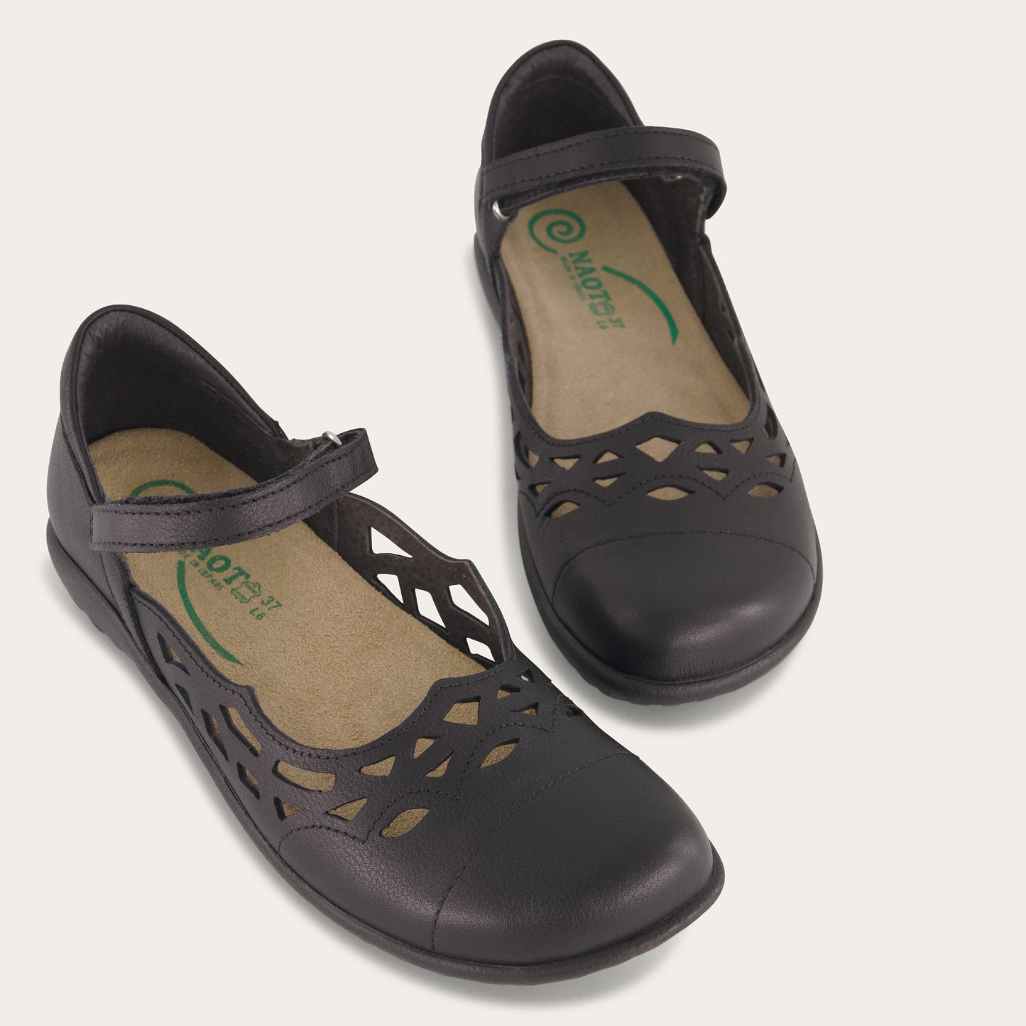 Agathis_BA6_6_b6e2cad4-25a9-44d5-96f0-241d71a10804