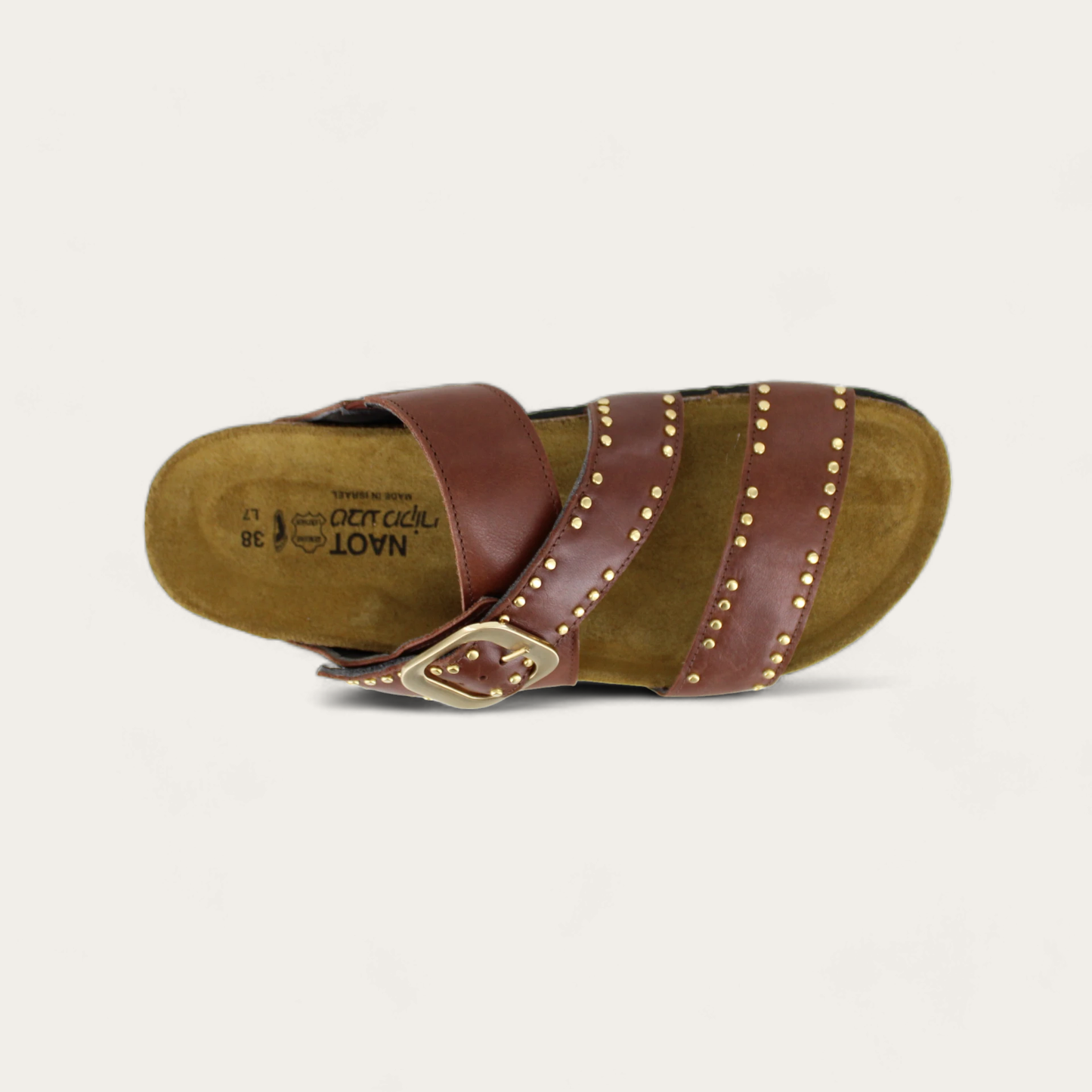 CAROLINA-7294-ED0-6-with-background_71dfb5a8-6ddd-4ae1-a947-7a4c0cf6baea