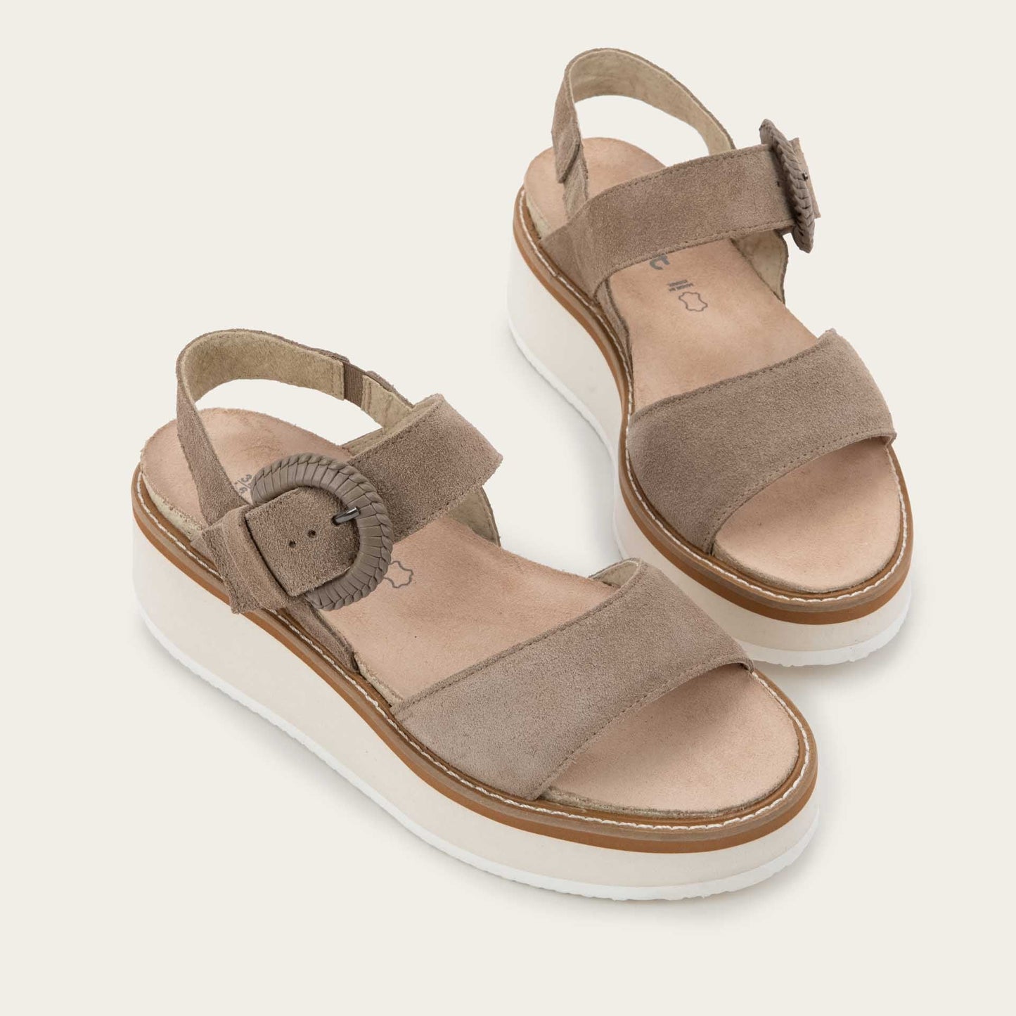 CREPE_EE1-6_86fec41b-7a3e-400c-8dc3-2dc97ceb07ac