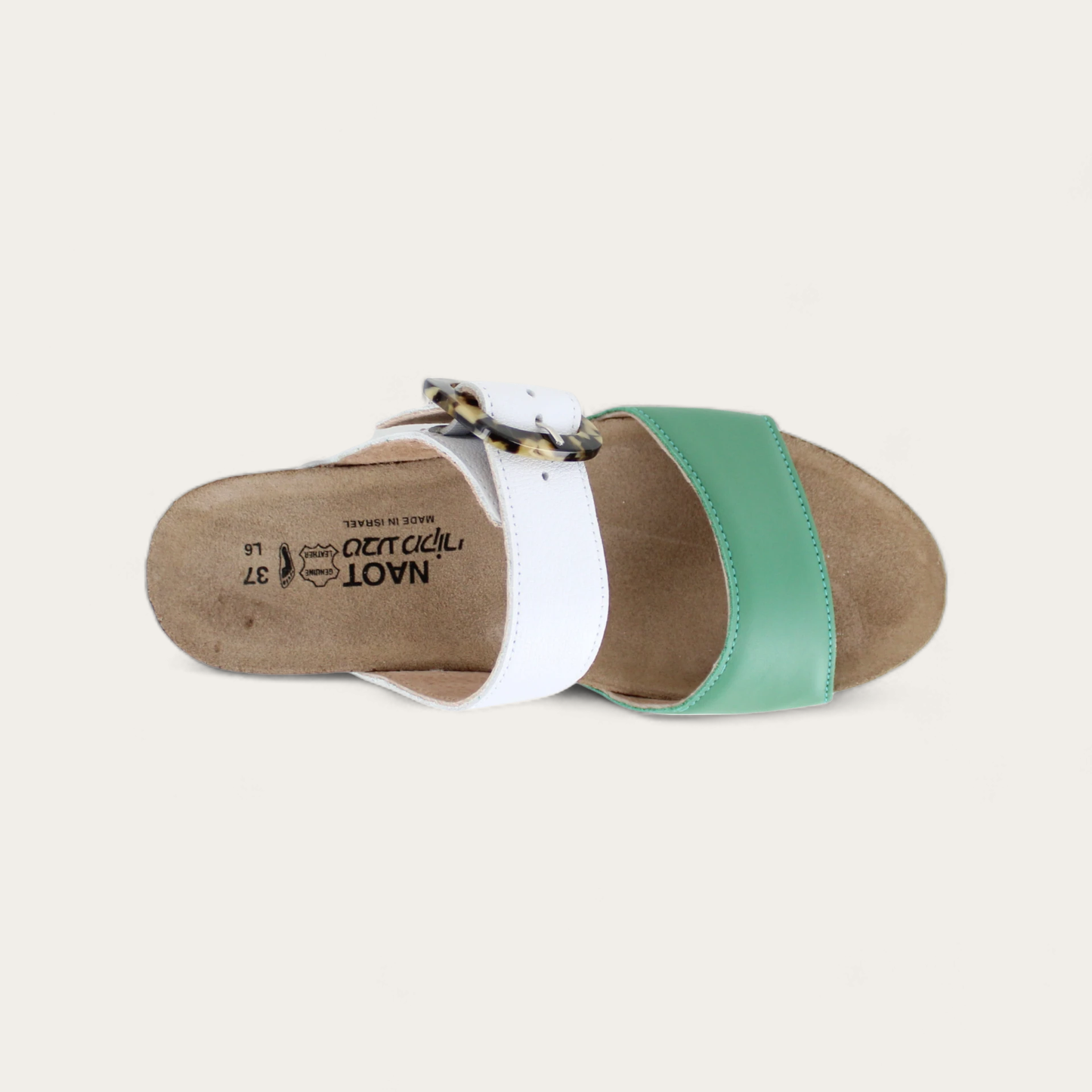 KINGDOM-05054-VBS-6-with-background_6849a5aa-5405-4aba-8069-68dbae0b26c7