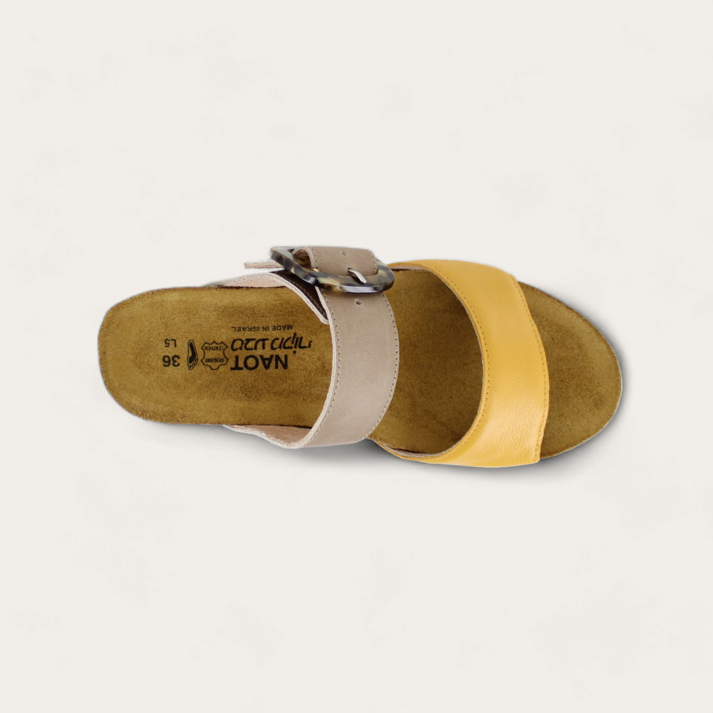 KINGDOM-05054-YBM-6-with-background_2cb9bdb2-e2b8-4d9a-8a57-44845df52c35