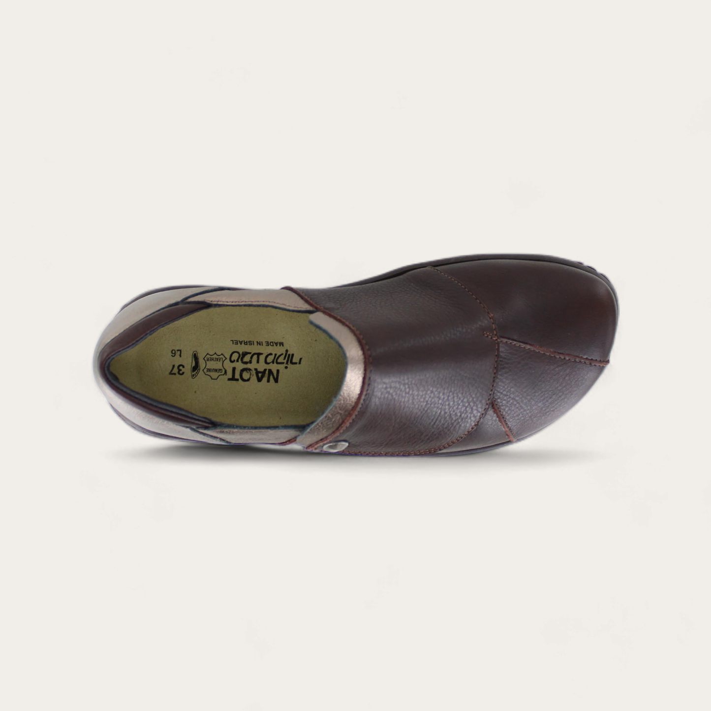 LAGOON-25511-SMC-6-with-background_f3906408-90e0-4e51-9fef-0abe965581bf