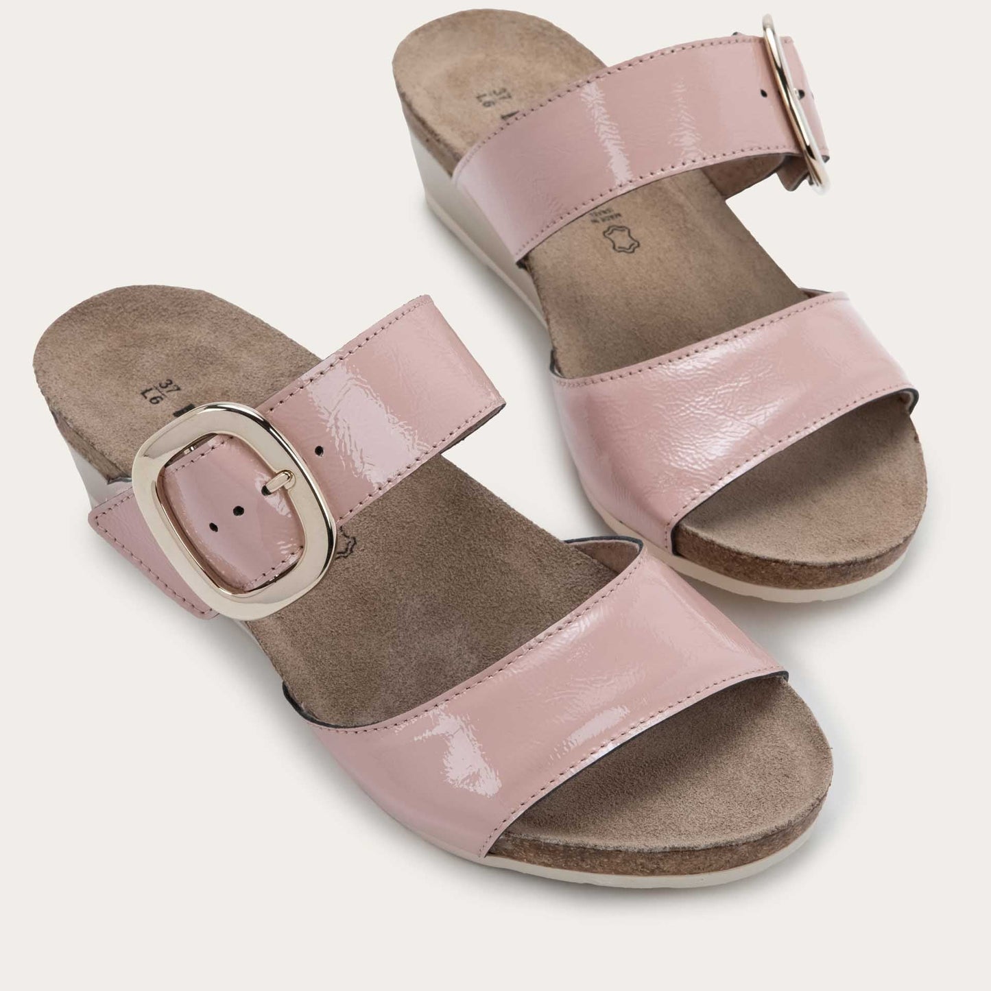 MAGIC_CAF-6_d77f9291-8f6a-48a8-938c-cf60688cb06e