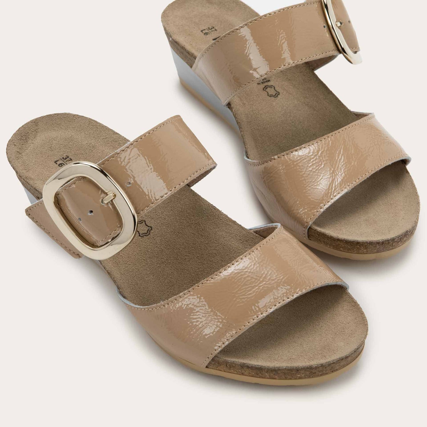 MAGIC_E14-6_842f2a8d-b930-46c2-b05f-9e887ddee922