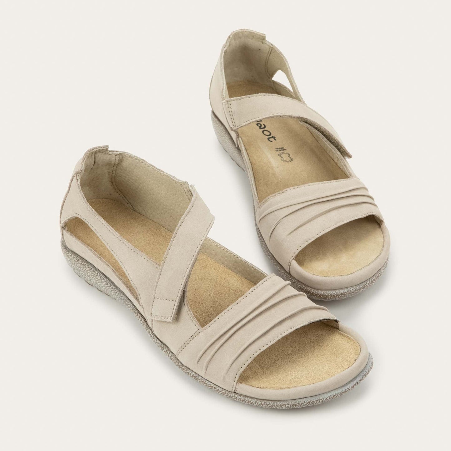 PAPAKI_WAQ-6_b81de6f3-e2b8-47fd-a912-f8d73e373710