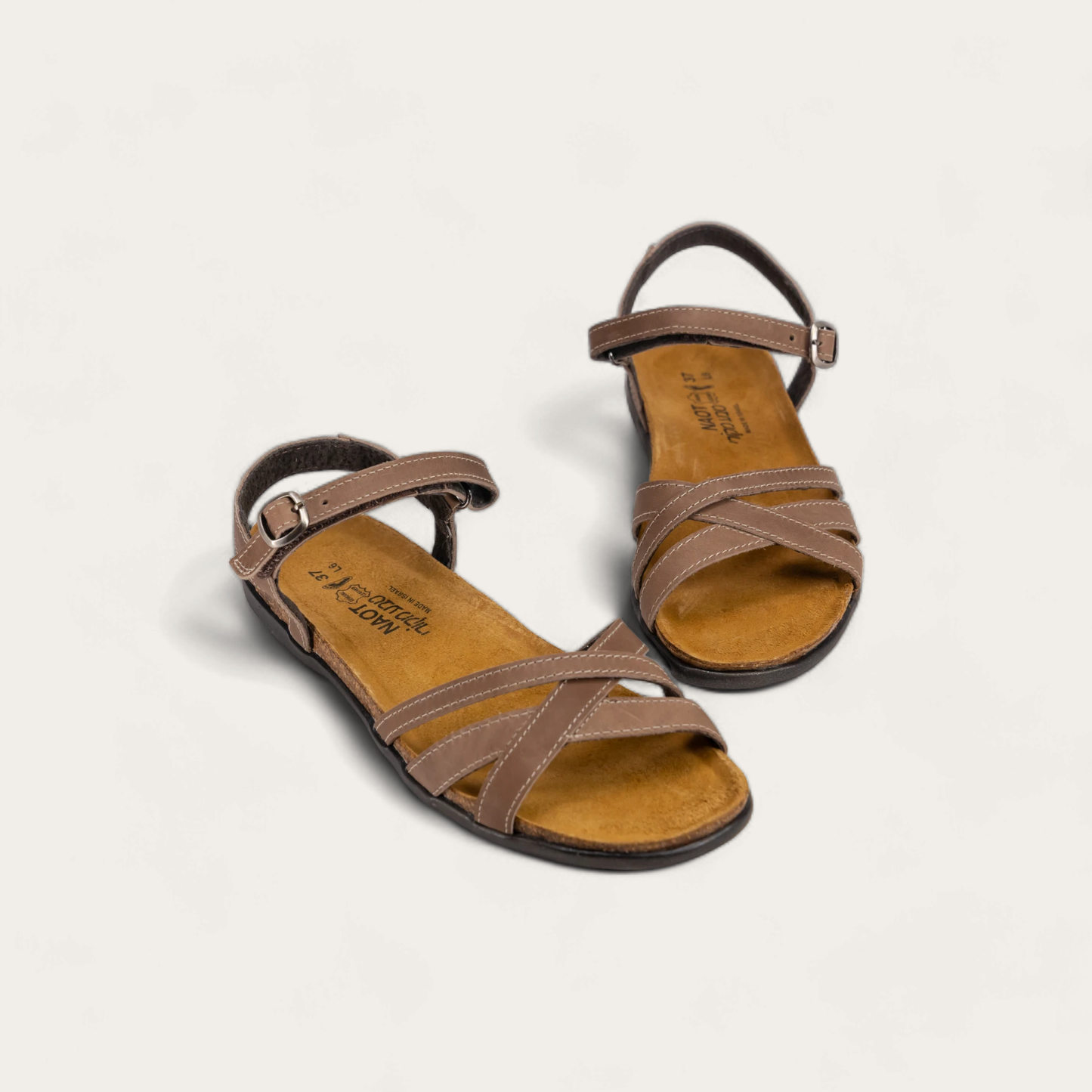 PATRICIA-7411-EE6-6-with-background_e5d15332-dba3-4a04-b3d8-d060baf09bb2