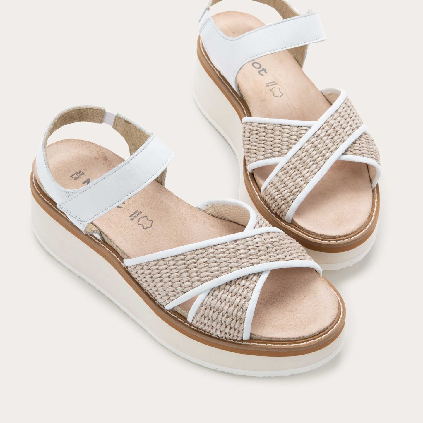 PAVLOVA_WCG-6_36b0c252-974c-4177-99e8-2c1a4d203fd2