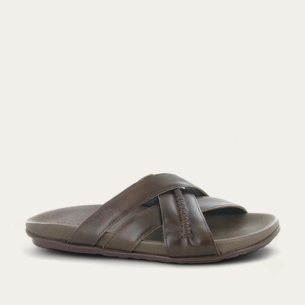 ANEGADA-BRWN-1_fbc0851e-c275-4c8d-b14c-521ea2307082