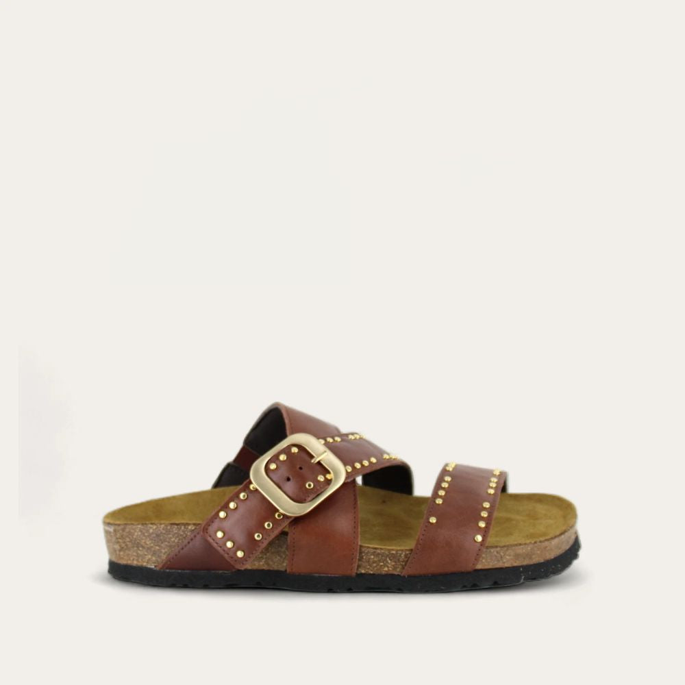 CAROLINA-CHESTNUT-1_5c2a5961-0507-4f09-9067-52dfbad1ea9a