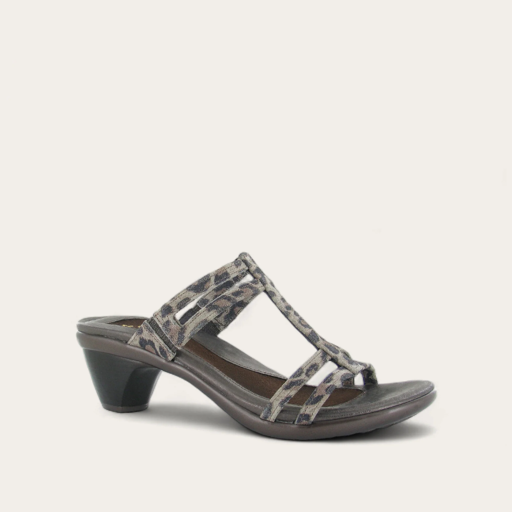 loop_cheetah_f168fd21-6399-4962-aa31-d29eb12417d8