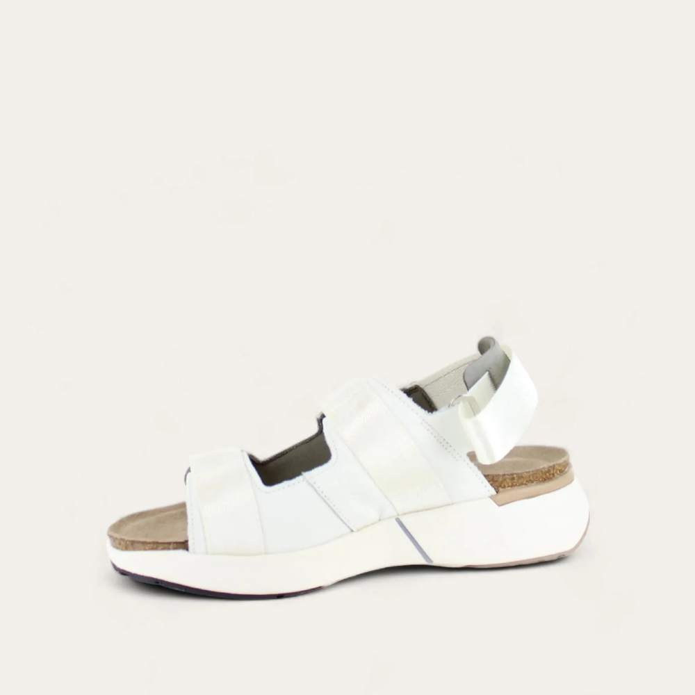 odyssey_white_2_d58ed67d-1e77-4f64-abd2-6e10e7b08c01