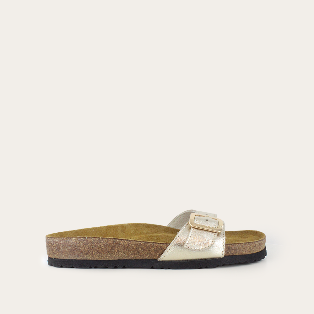 Sahara