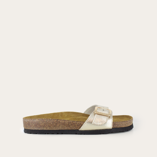 Sahara