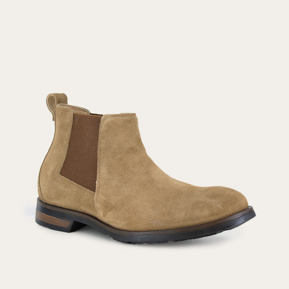 washington-acorn-2-6cf4fa81-836d-4991-a649-5462bb73ae92